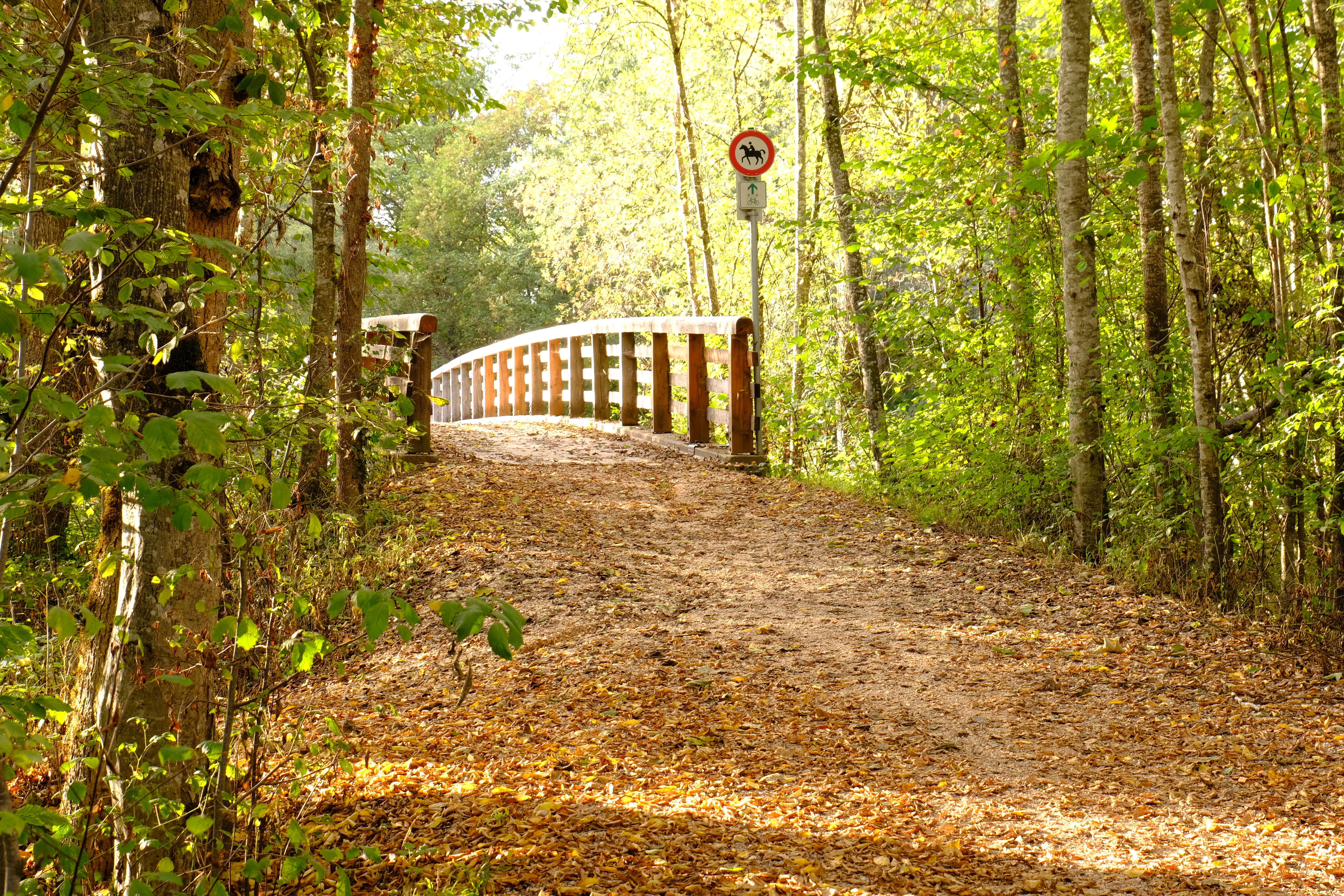 Streckenbild Wäschhausen Brücke