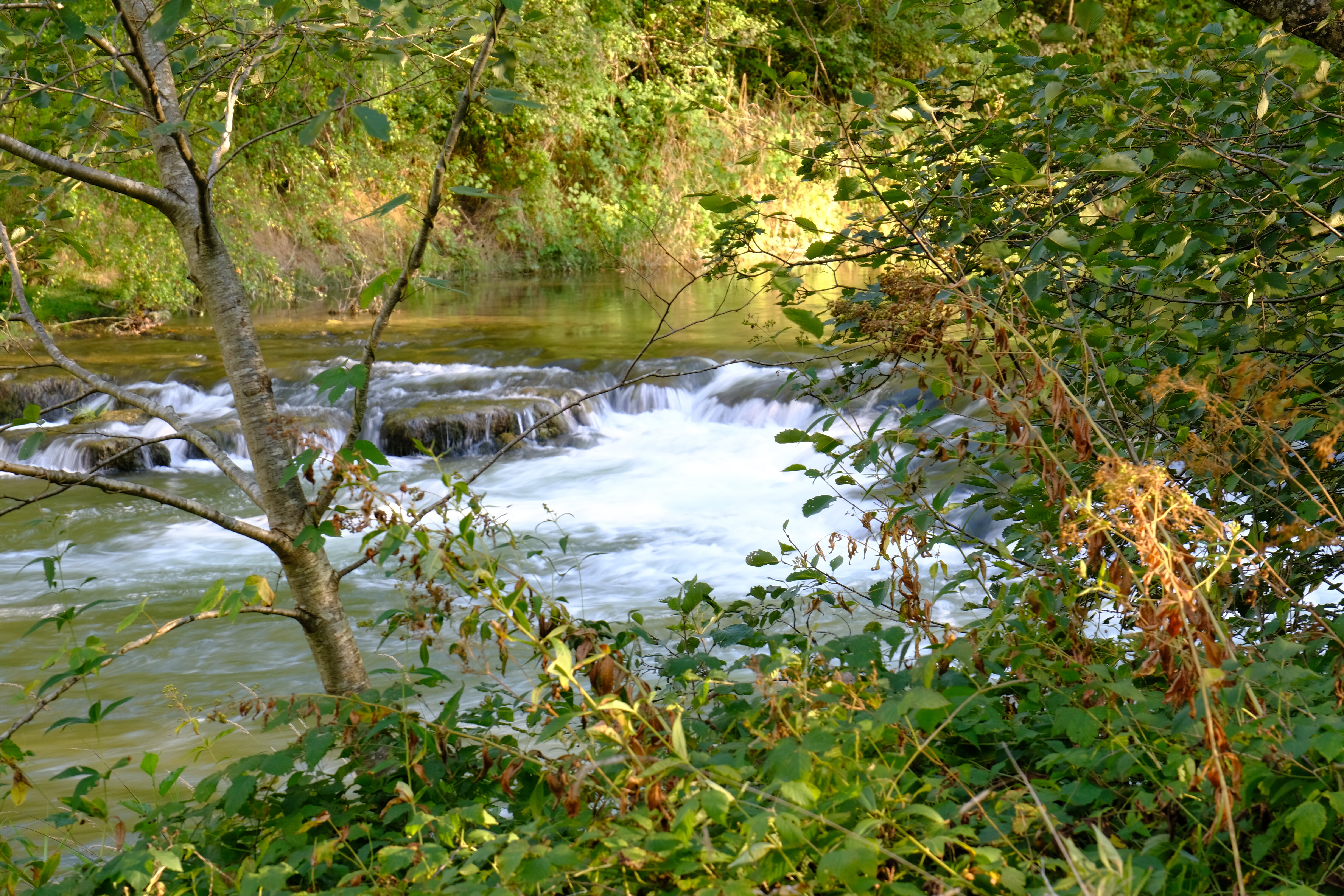 Streckenbild Am Wasser Strömung