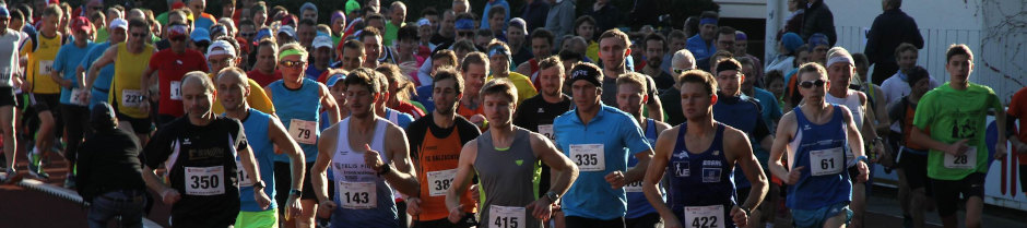 Banner Alzauenlauf